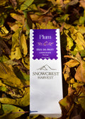 Pate De Fruit (Plum) × 70% Dark Chocolate — 45 g × 3 Bars