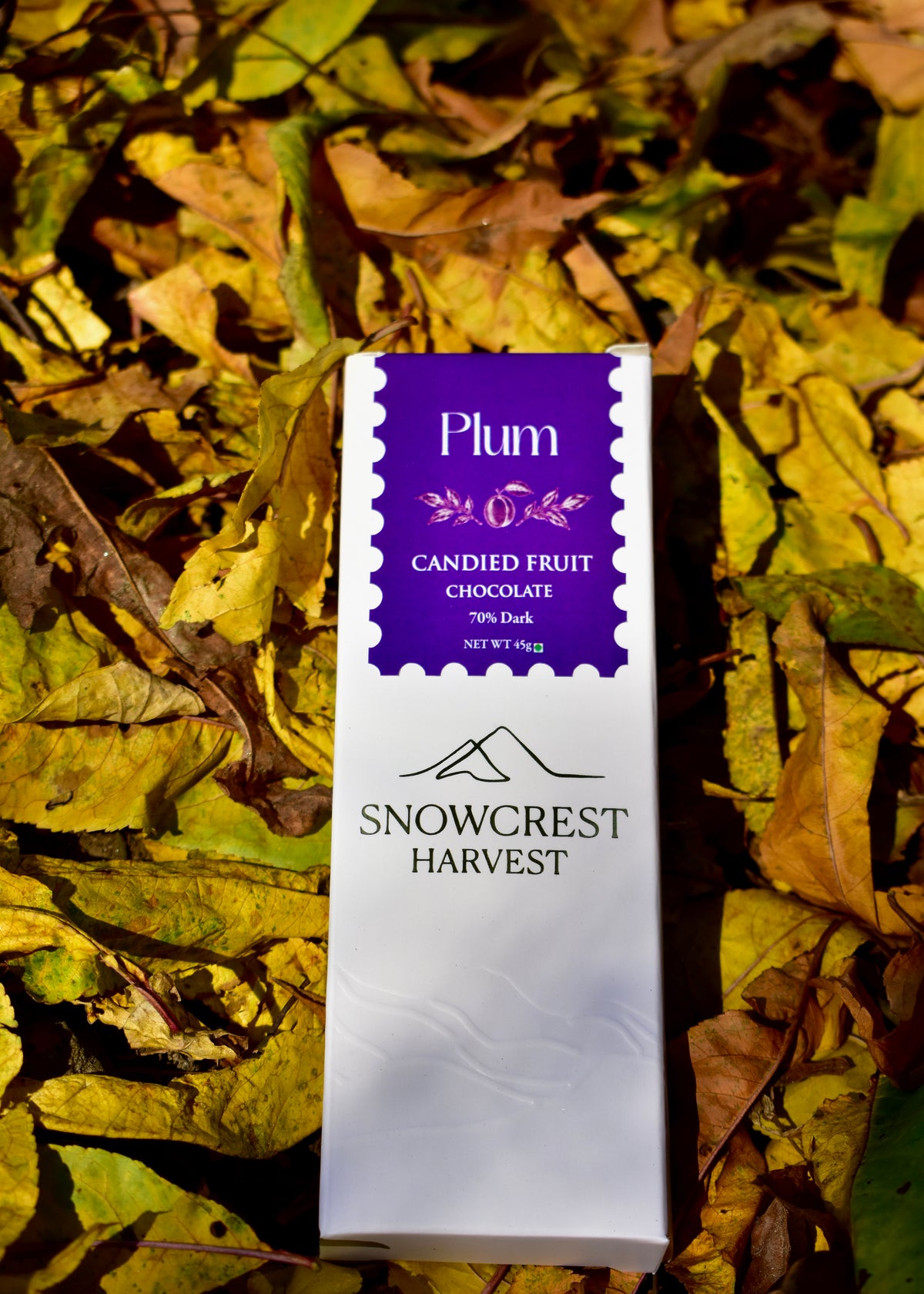 Candied Plum  X  70% Dark Chocolate - 45g X 3 bars