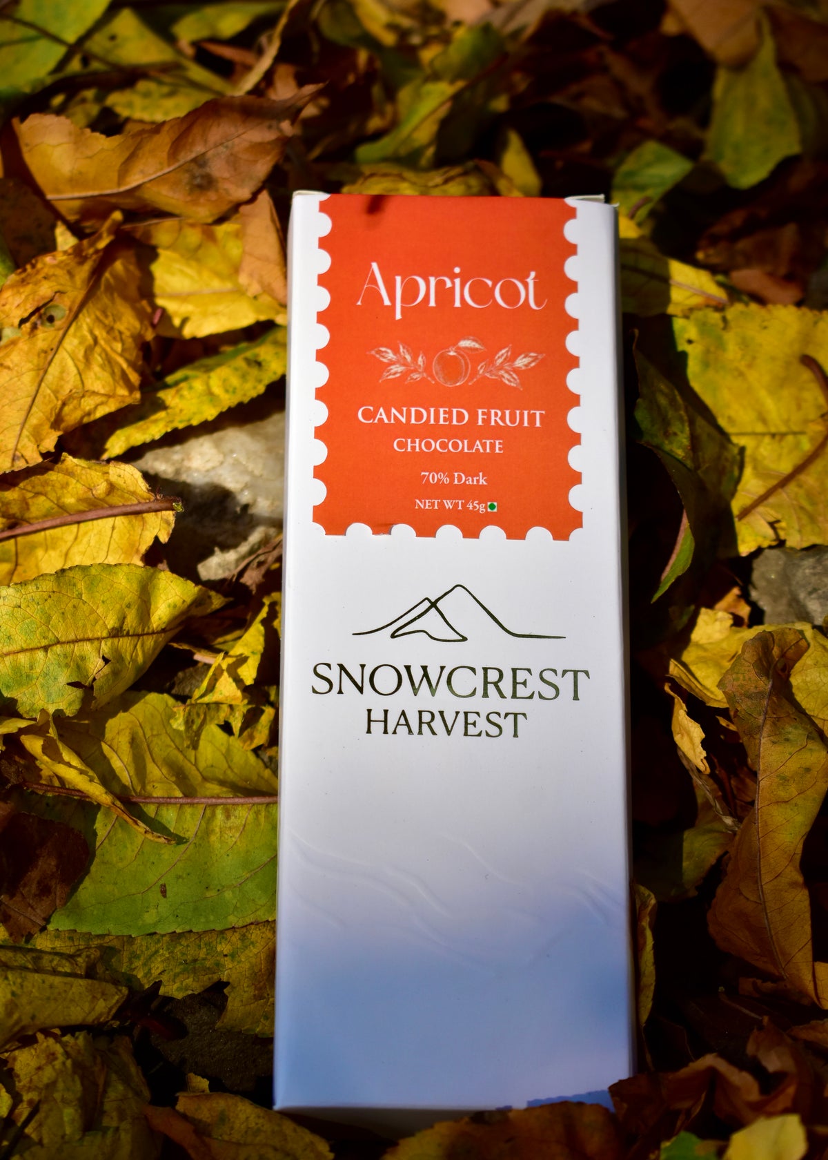 Candied Apricot × 70% Dark Chocolate — 45 g × 3 Bars