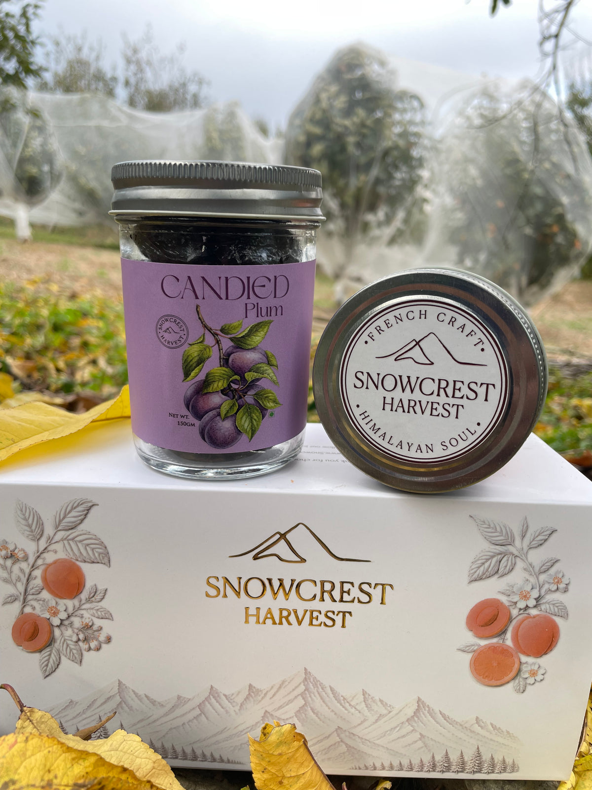 Candied Plum (150 Gms)