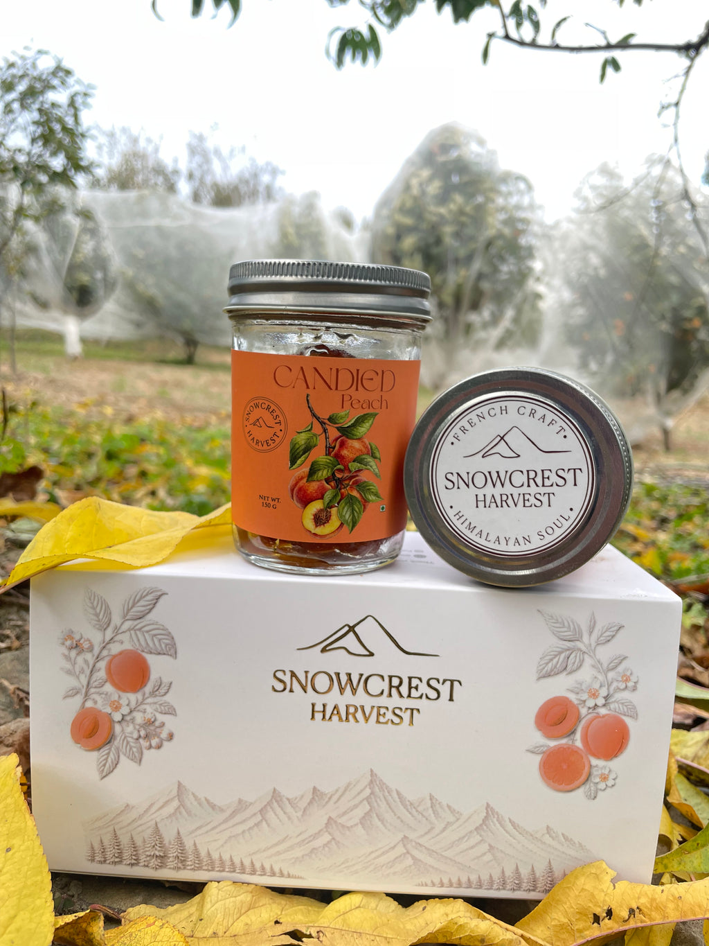 Candied Peach (150 Gms)