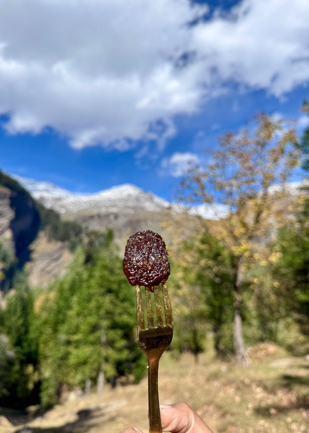 Candied Plum (150 Gms)